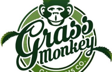 Grass Monkey