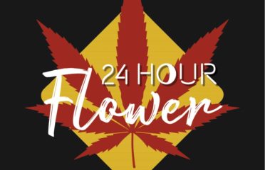 24 hour flower